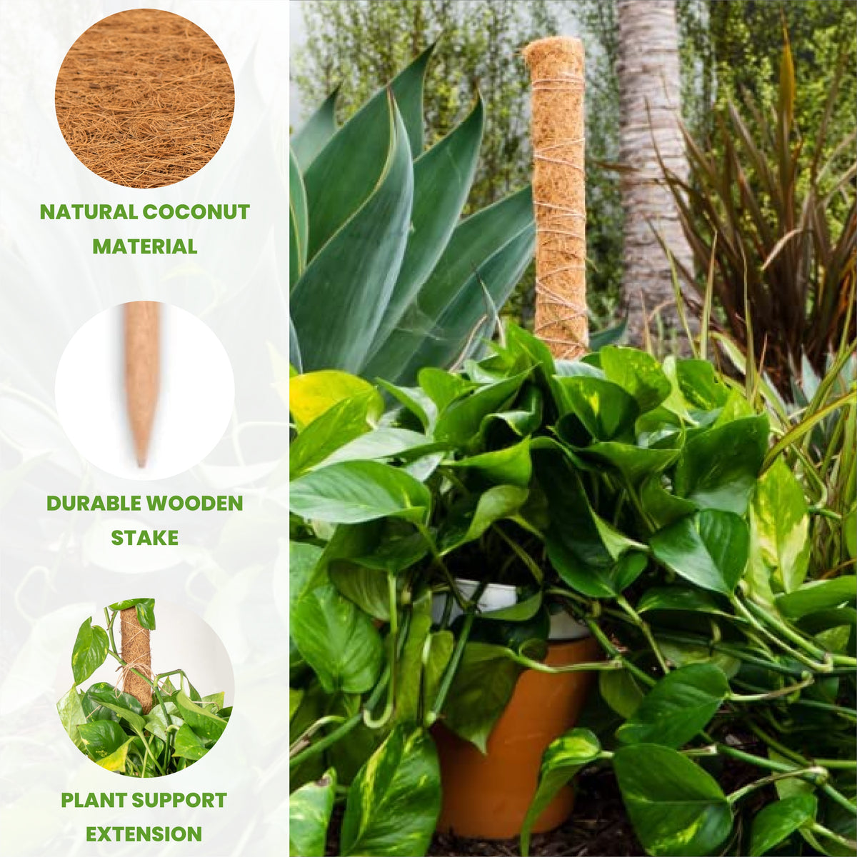 Coco Moss Poles Vine Plant Support - view 5