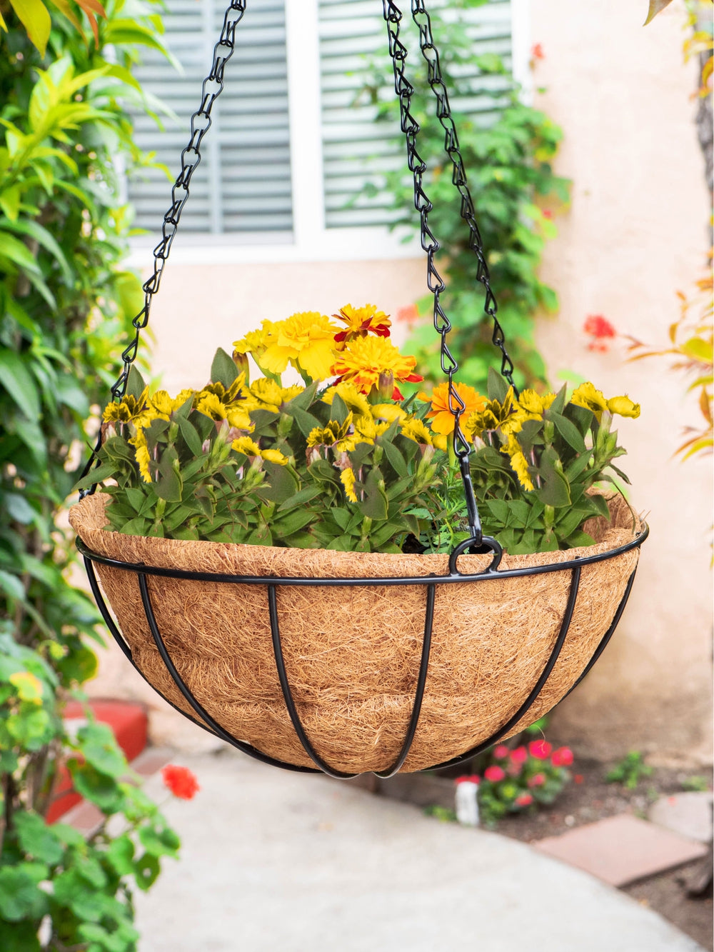 coconut liner hanging baskets