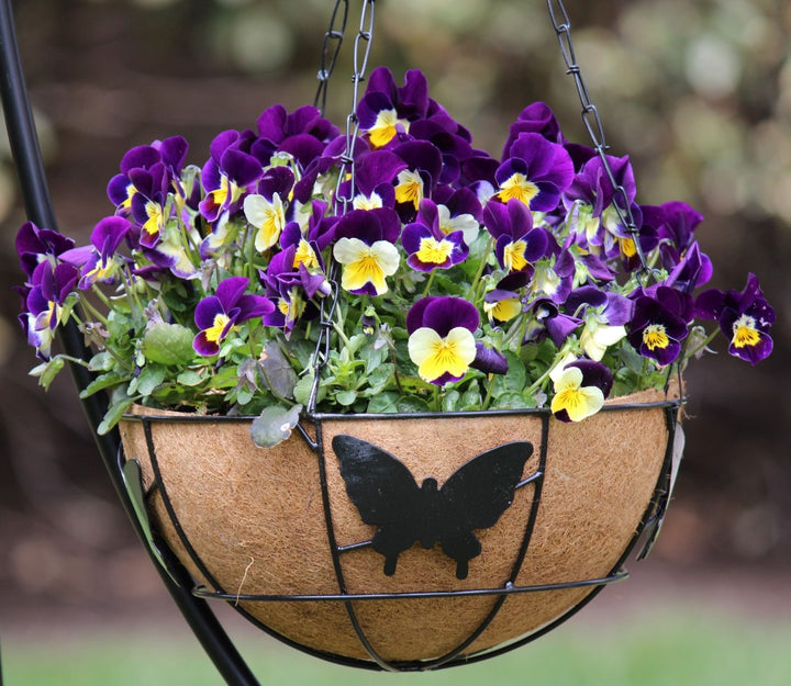 coconut fiber liners hanging baskets