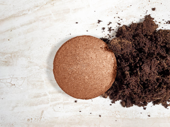 Coir Grow Discs 4 Inches