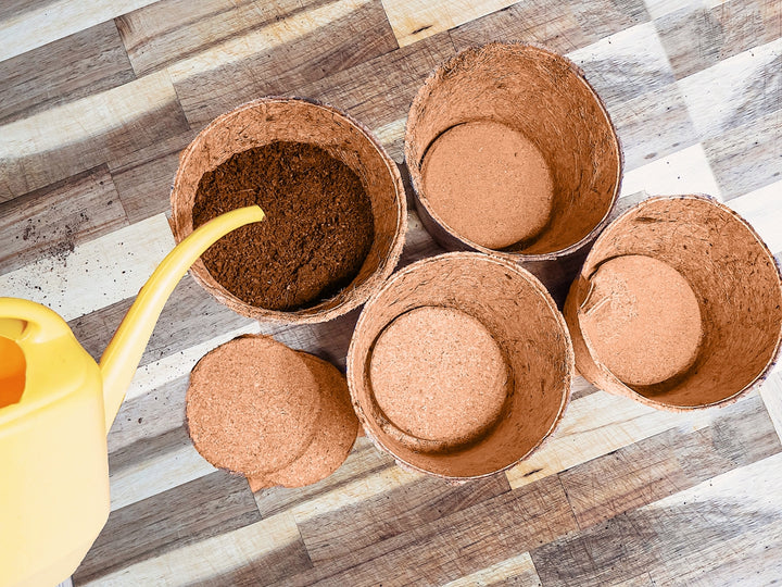 Coir Grow Discs 4 Inches