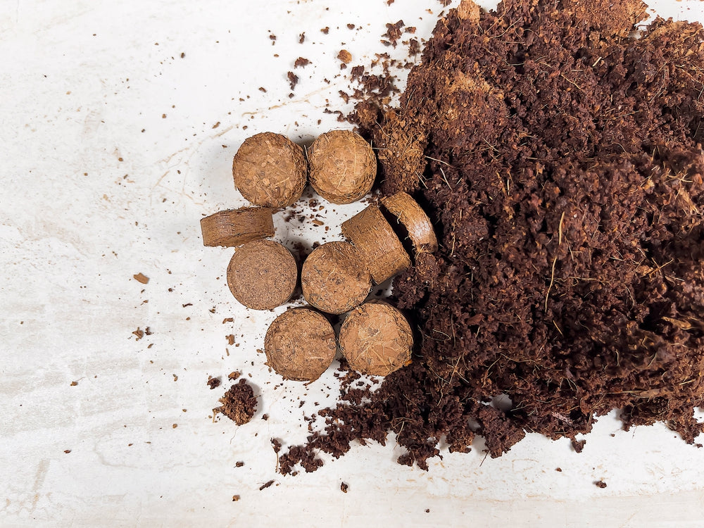 Coco Grow Discs Seed Starter Coir Pellets, 0.8" Dia. - 180 Pack