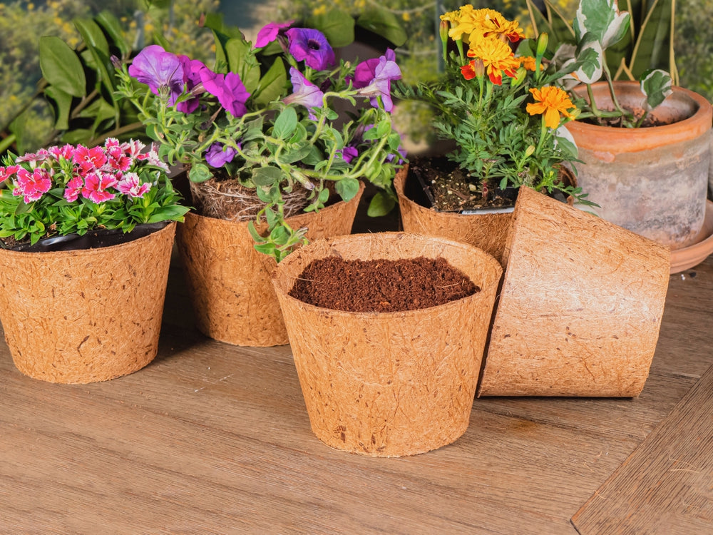 Coco Pot 6 Inch Top Diameter - 5 Pack