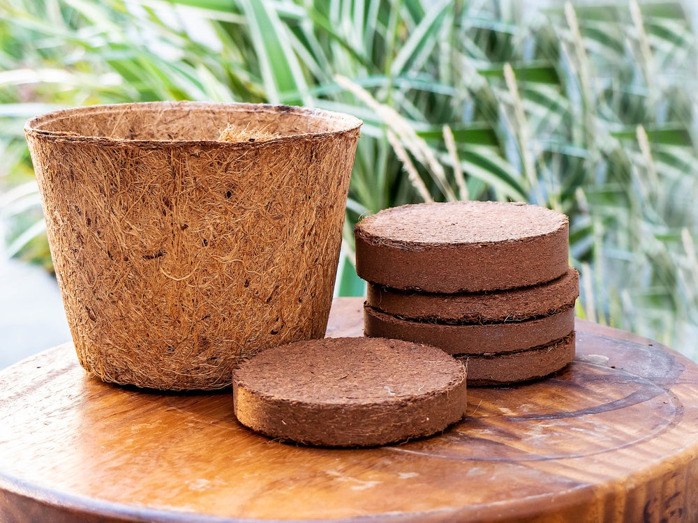 Coco Pot 6 Inch Top Diameter - 5 Pack