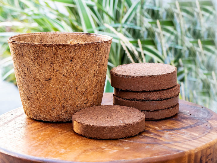 Coco Pot 6 Inch Top Diameter - 5 Pack