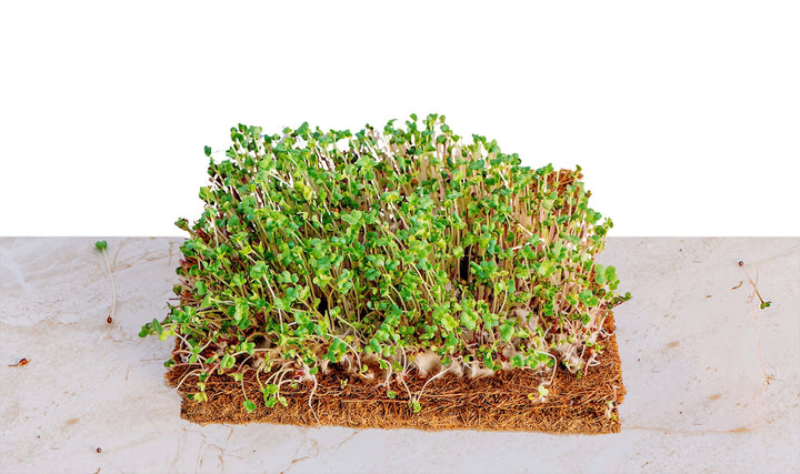 how to make coco coir grow mats