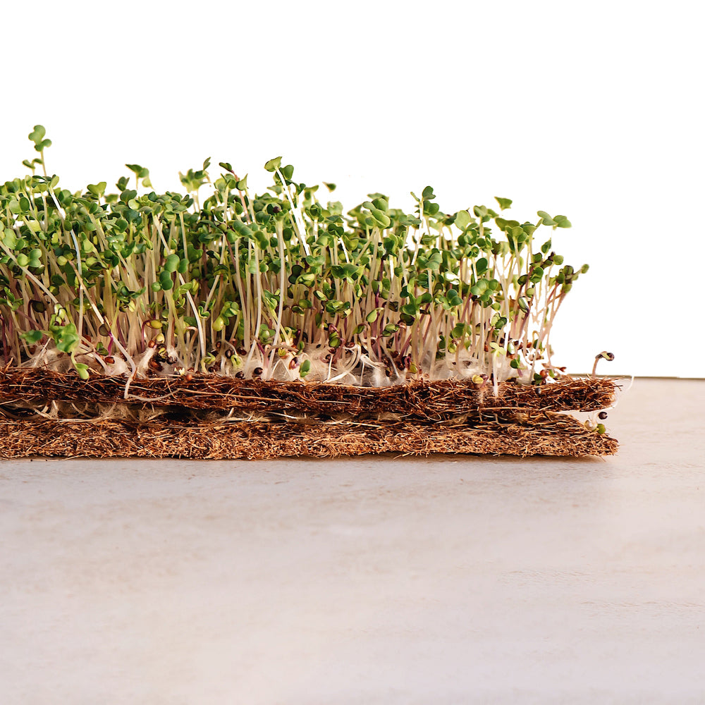 coconut coir growing mats