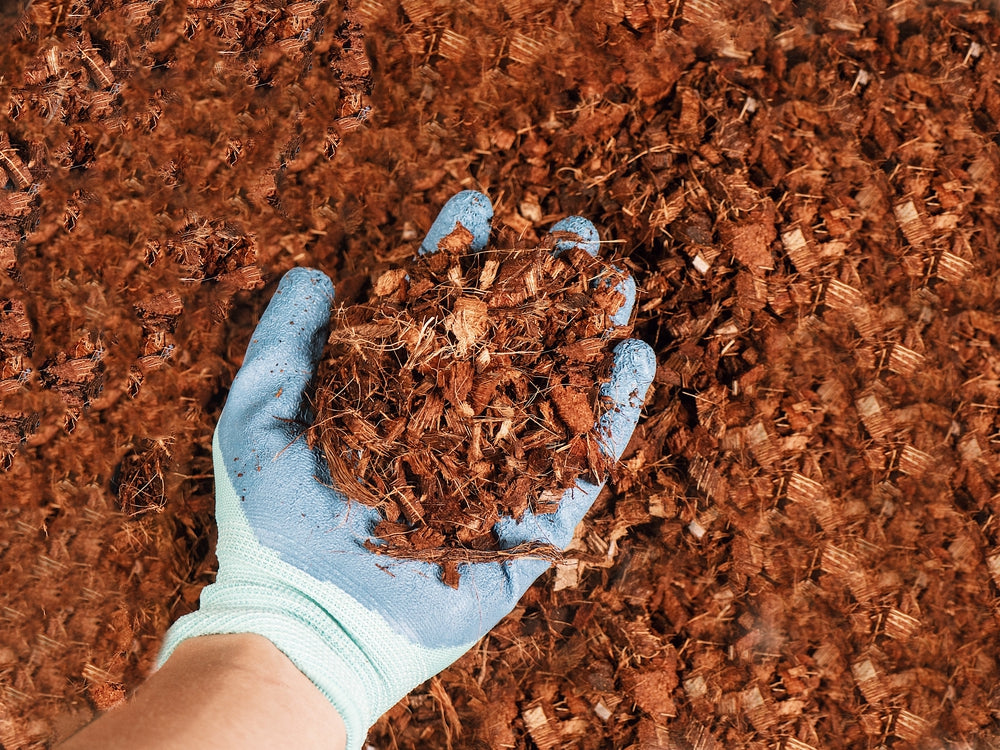 Coconut Coir Husk Chips Coco Mulch - view 2