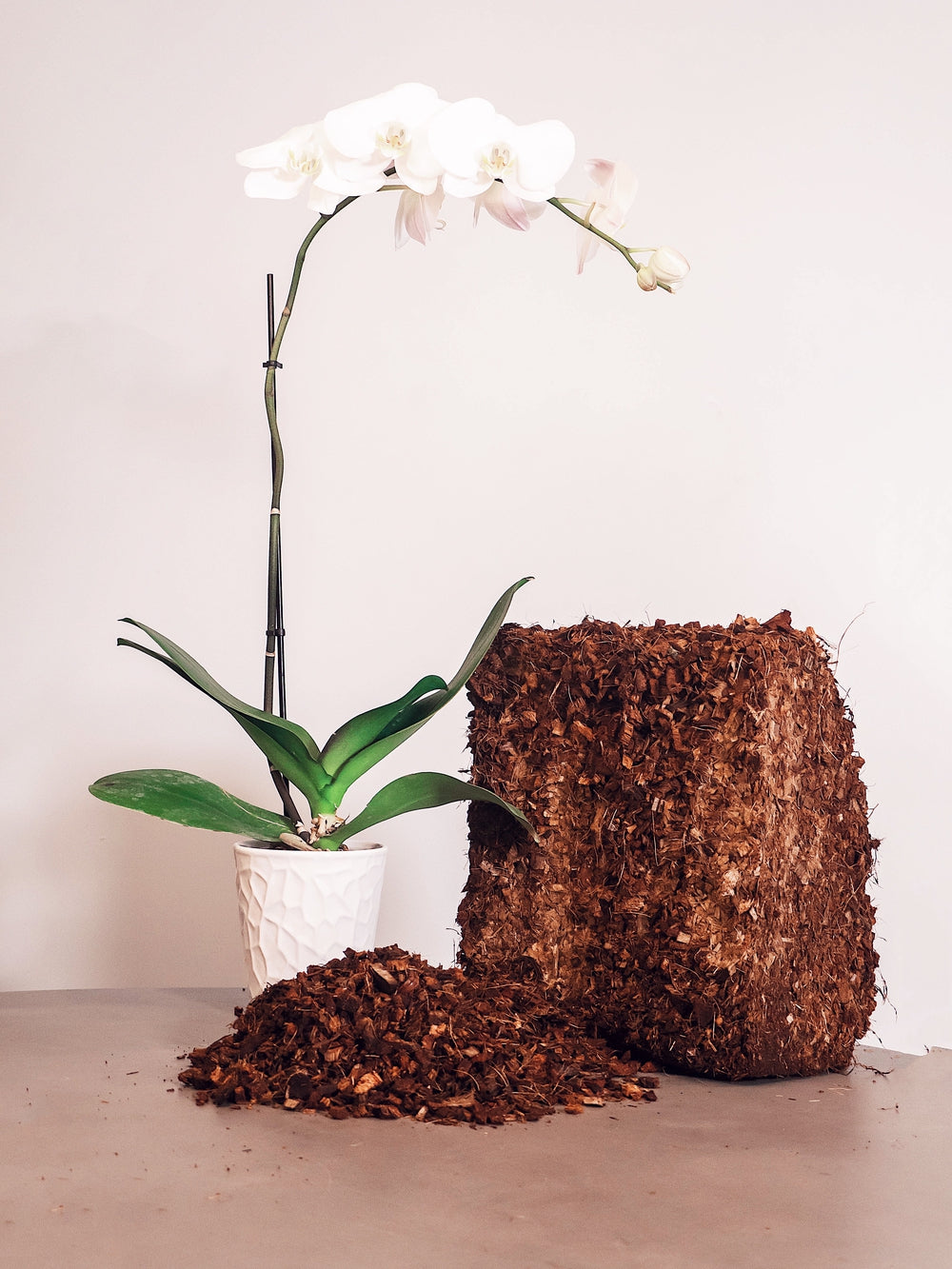 Coconut Coir Husk Chips Coco Mulch - view 3