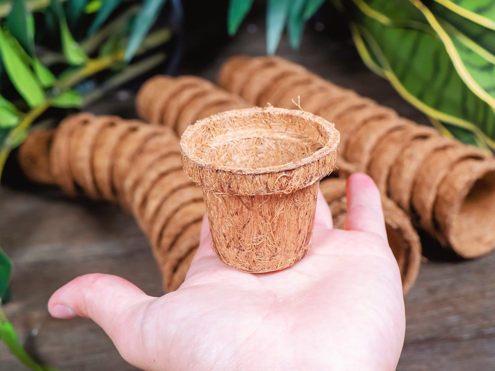 Coco Seed Starter Cup 2.5 Inch Diameter - 36 Pack