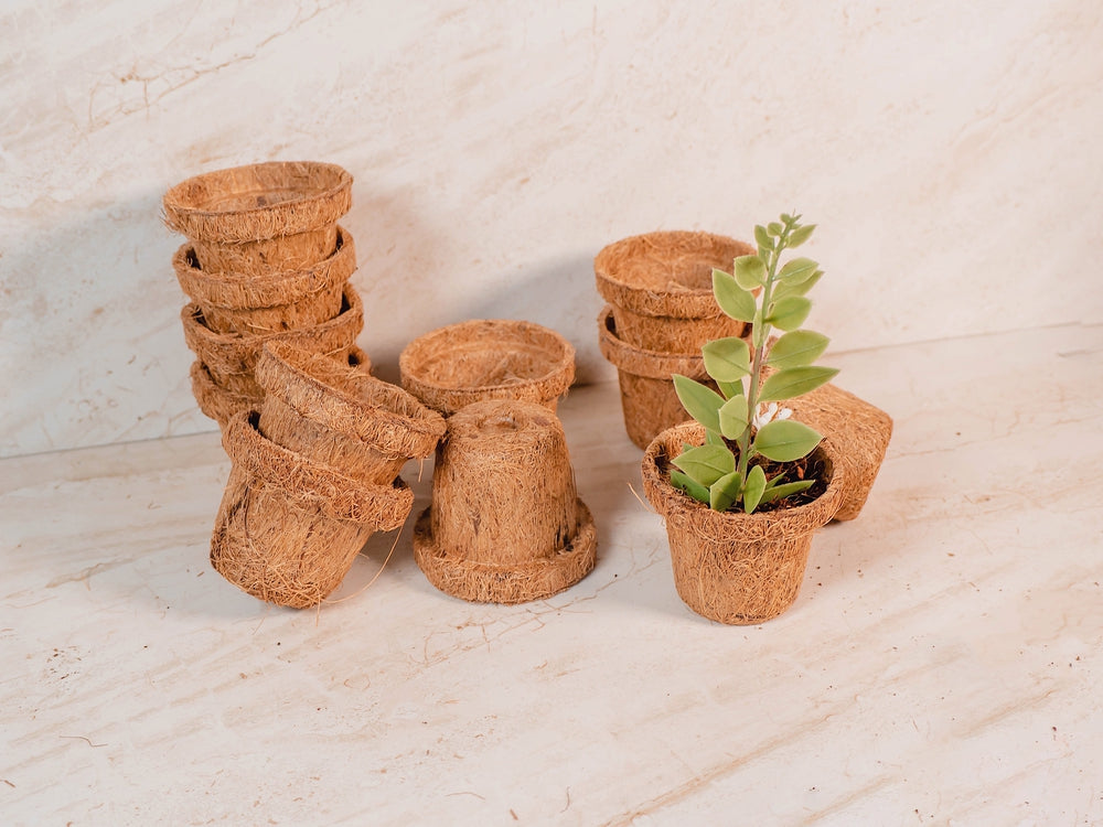 Coco Seed Starter Cup 2.5 Inch Diameter - 36 Pack