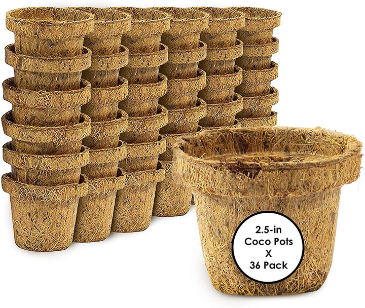 Coco Seed Starter Cup 2.5 Inch Diameter - 36 Pack