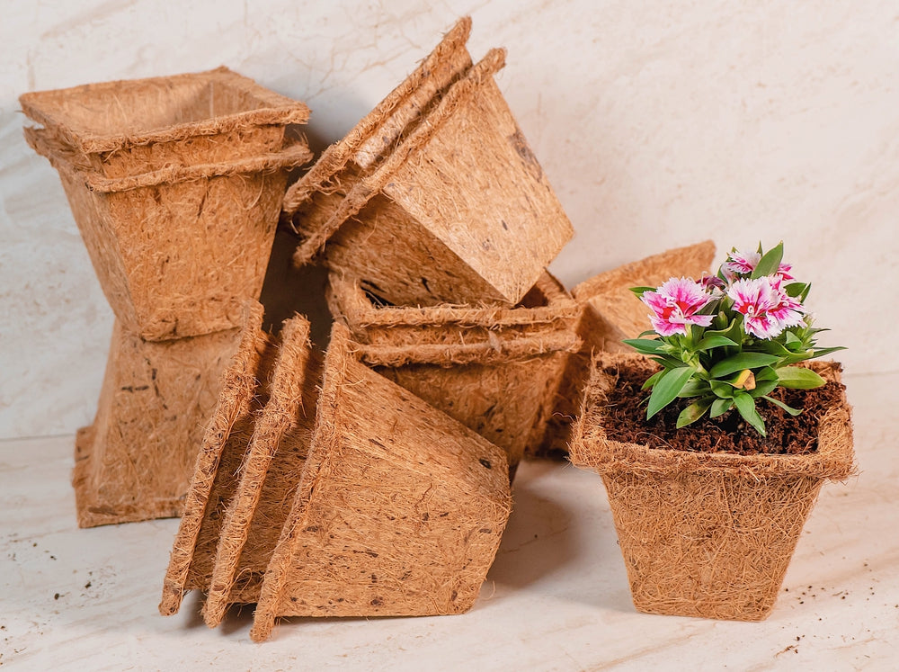 Coco Coir Seed Starter Germination Cups - 4 inches, 20 Pack