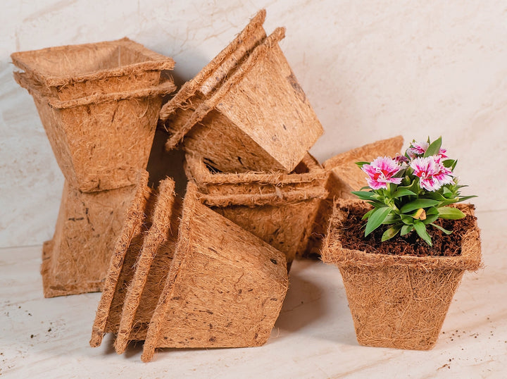 Coco Coir Seed Starter Germination Cups - 4 inches, 20 Pack