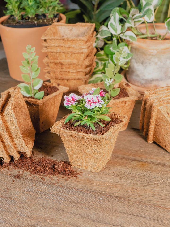 Coco Coir Seed Starter Germination Cups - 4 inches, 20 Pack