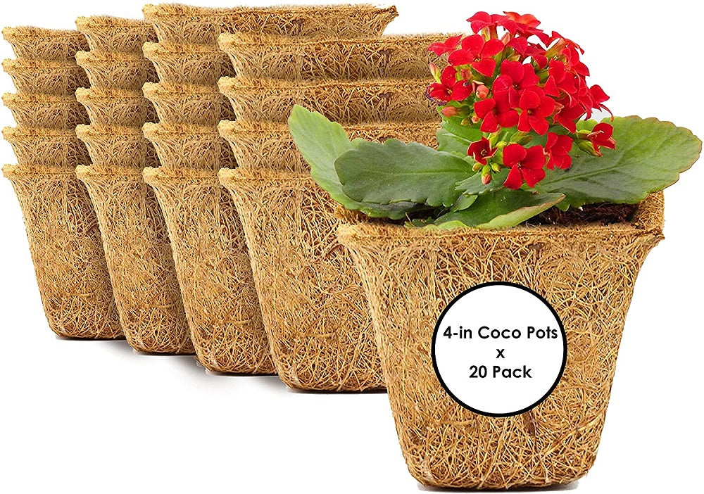 Coco Coir Seed Starter Germination Cups - 4 inches, 20 Pack - view 8