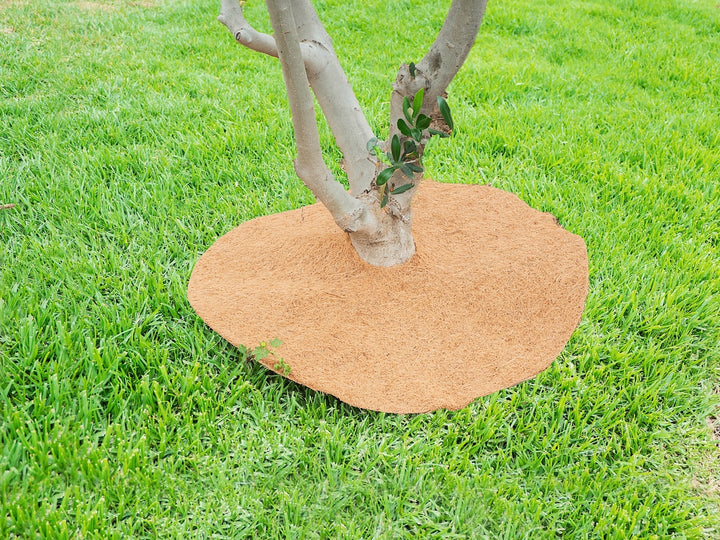 24 Inches Weed Control Discs Coco Tree Rings
