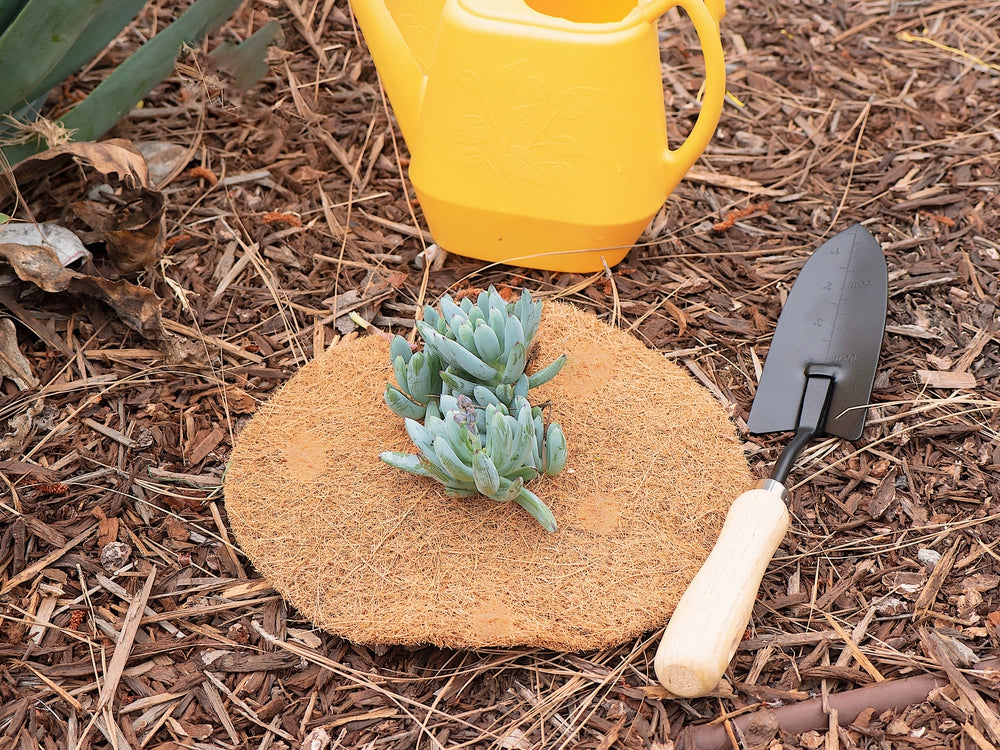 9 Inches Weed Control Discs Coco Tree Rings - 15 Pack