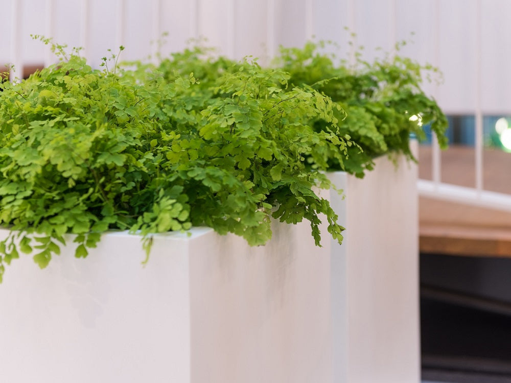 Block Square Planter Pot Indoor Outdoor Fiberstone Planter Box