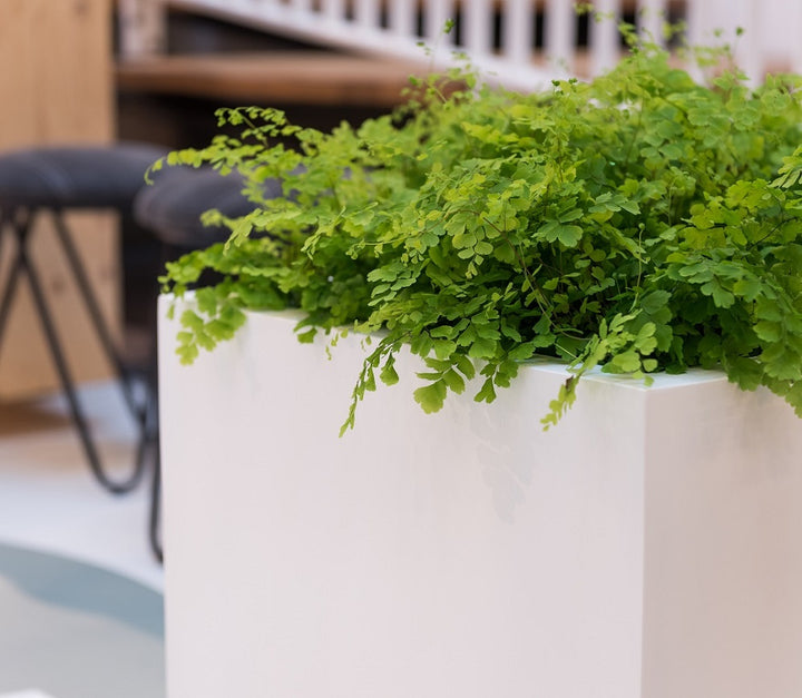 Block Square Planter Pot Indoor Outdoor Fiberstone Planter Box