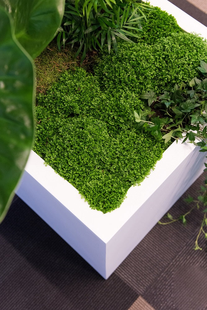 Block Square Planter Pot Indoor Outdoor Fiberstone Planter Box