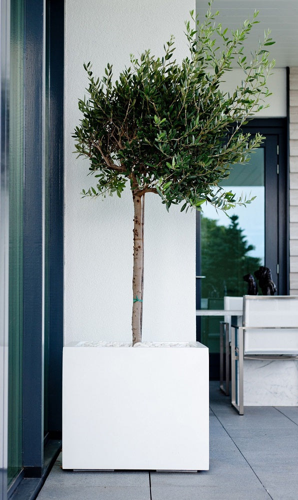 Block Square Planter Pot Indoor Outdoor Fiberstone Planter Box