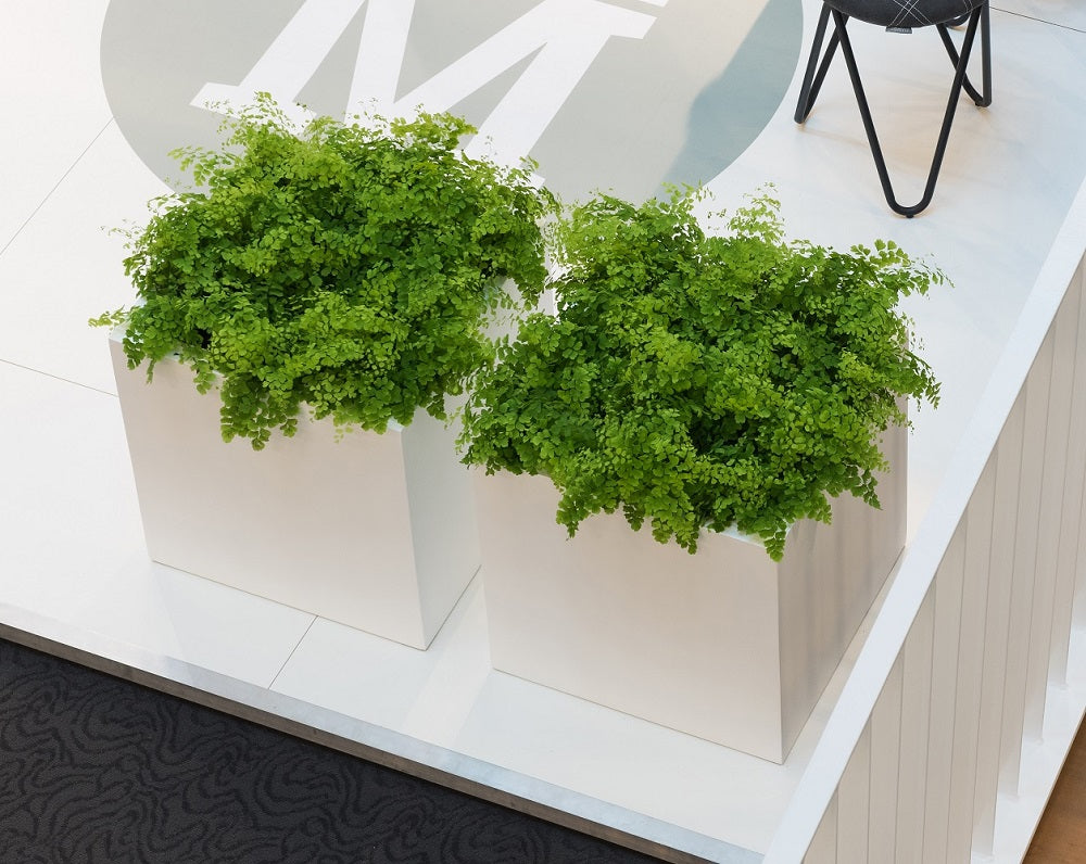 Block Square Planter Pot Indoor Outdoor Fiberstone Planter Box