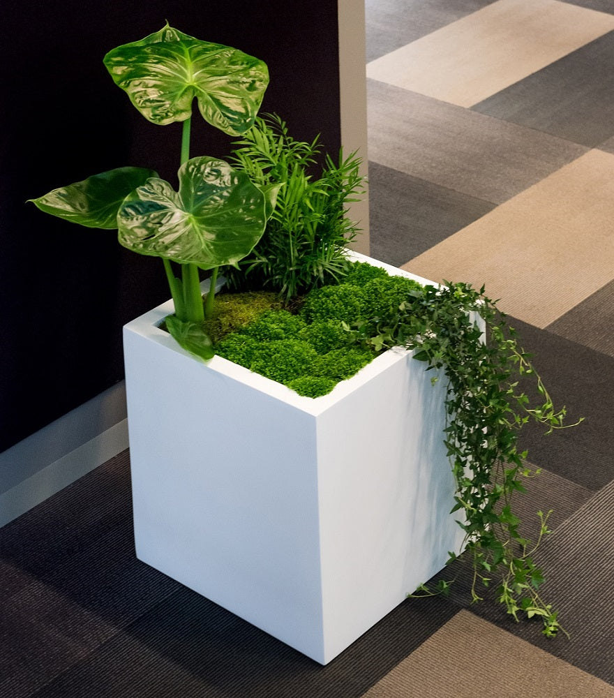 Block Square Planter Pot Indoor Outdoor Fiberstone Planter Box