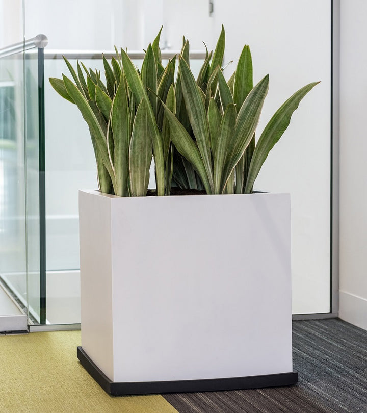 Block Square Planter Pot Indoor Outdoor Fiberstone Planter Box