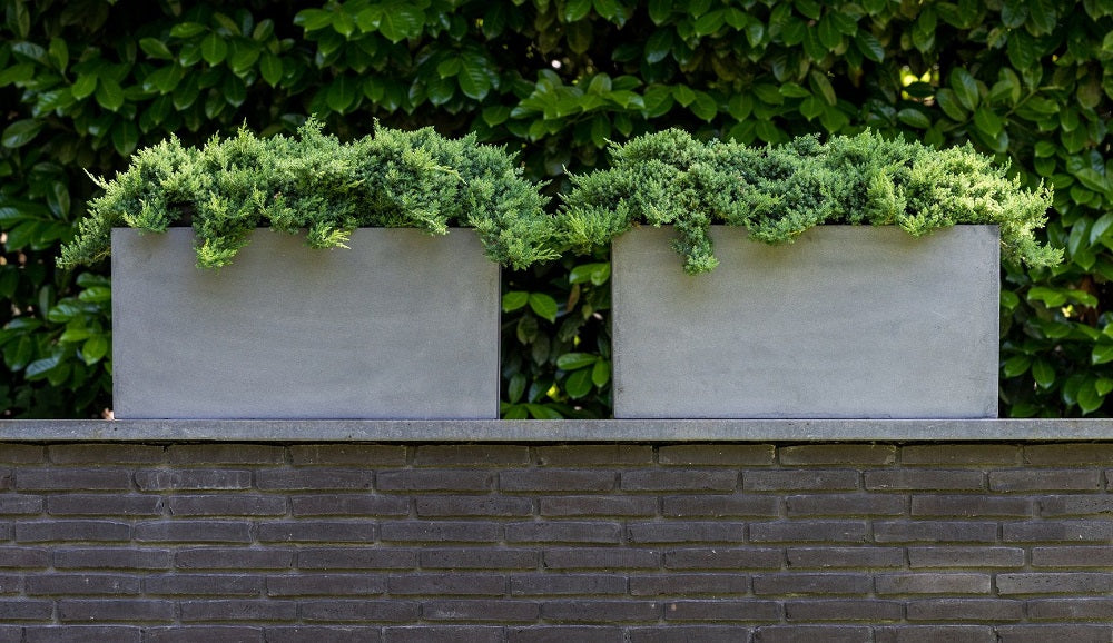 Jort Rectangular Planter Pot Indoor Outdoor Fiberstone Planter Box