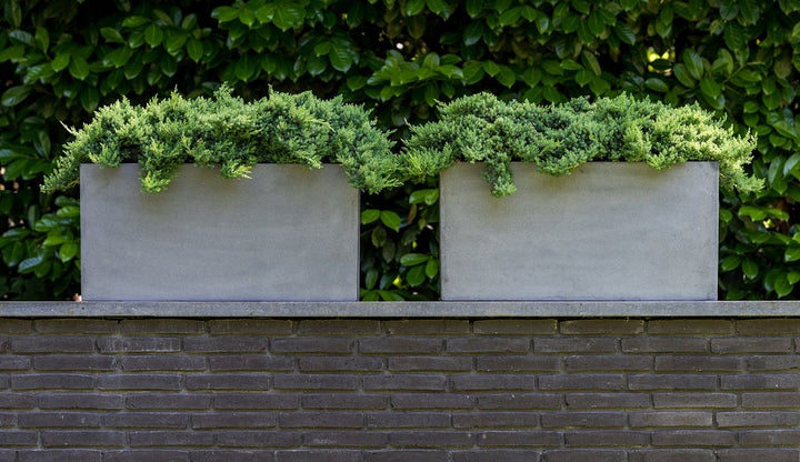 Jort Rectangular Planter Pot Indoor Outdoor Fiberstone Planter Box