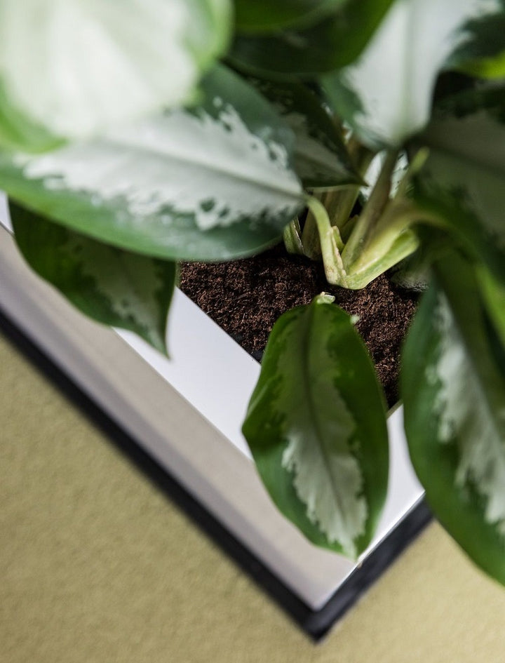 Jort Rectangular Planter Pot Indoor Outdoor Fiberstone Planter Box