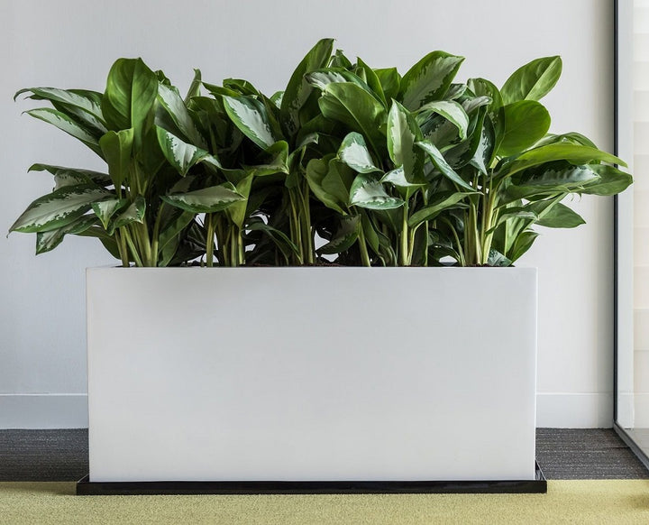 Jort Rectangular Planter Pot Indoor Outdoor Fiberstone Planter Box