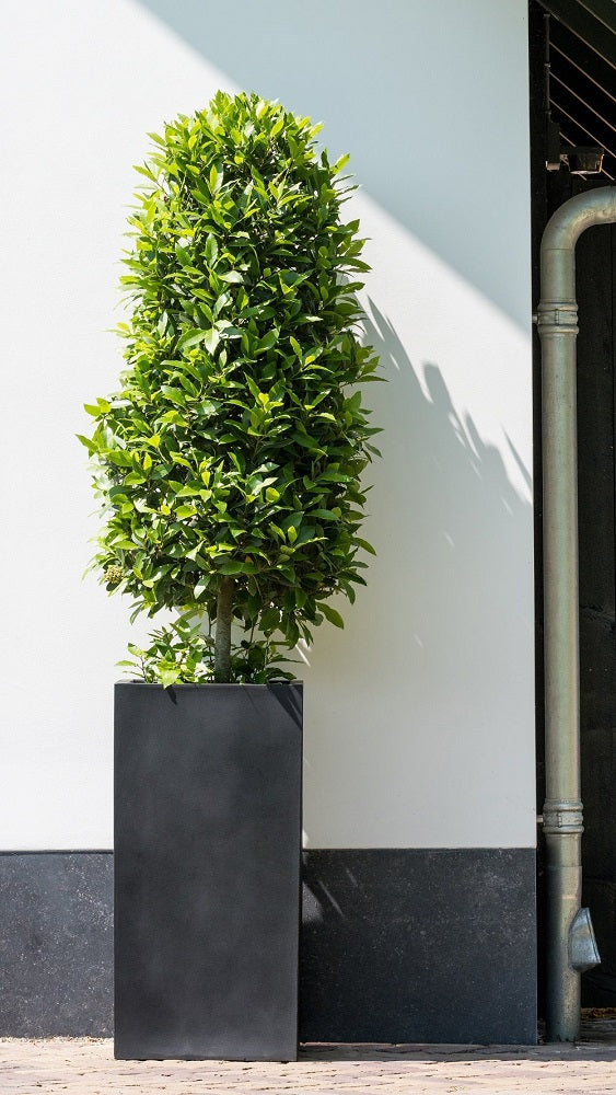 Bouvy Rectangular Planter Pot Indoor Outdoor Fiberstone Planter Box