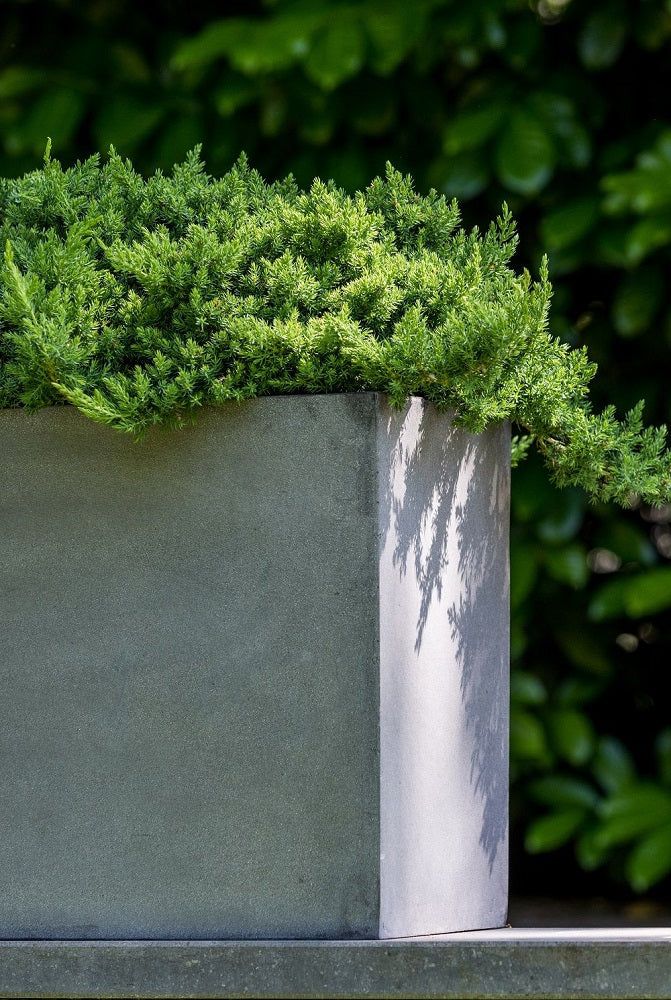 Jort Rectangular Planter Pot Indoor Outdoor Fiberstone Planter Box