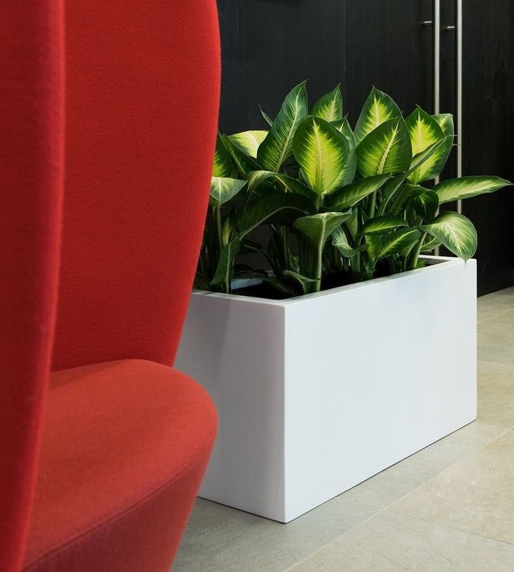 Jort Rectangular Planter Pot Indoor Outdoor Fiberstone Planter Box