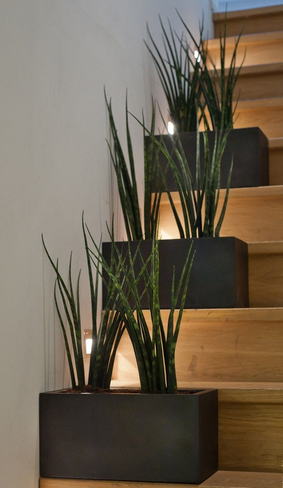 Balcony Rectangular Planter Pot Indoor Outdoor Fiberstone Planter Box