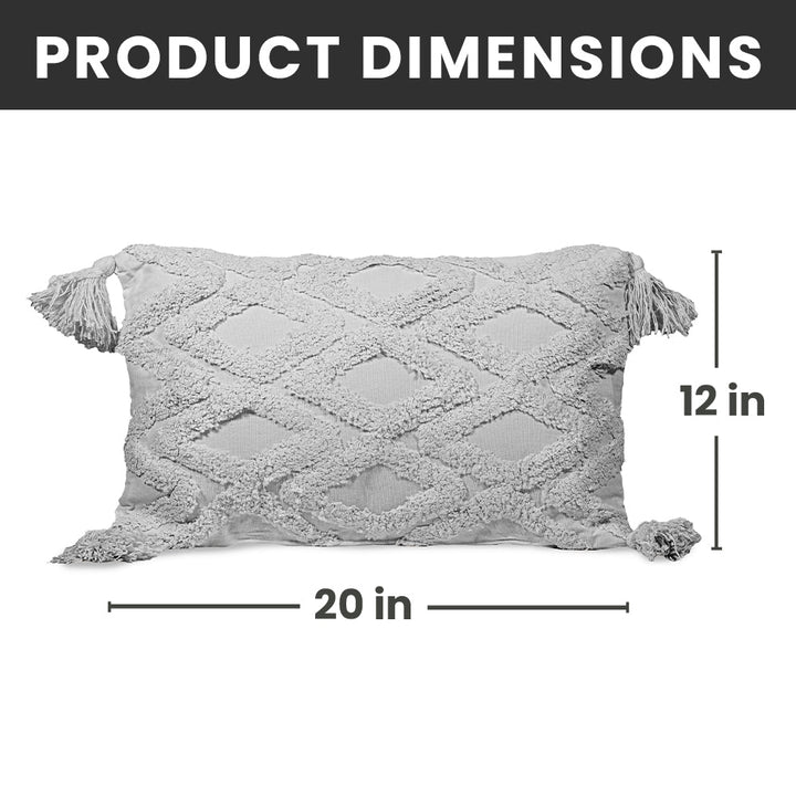 Decorative Throw Pillows - 2 Pack