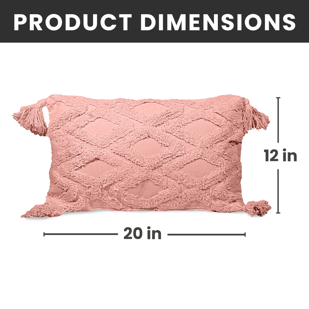 Decorative Throw Pillows - 2 Pack