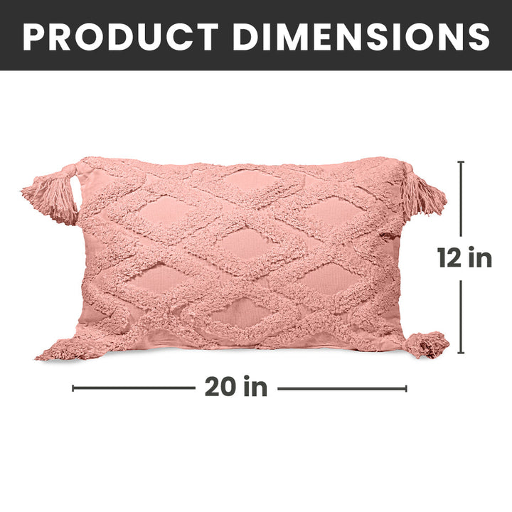 Decorative Throw Pillows - 2 Pack