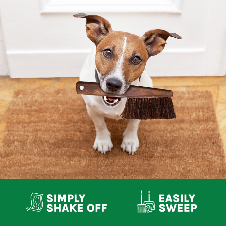 Seaside Shells Coco Coir Doormat