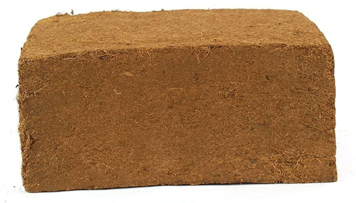 Coir Growing Medium Coco Coir Potting Soil 10-lb Block - view 15