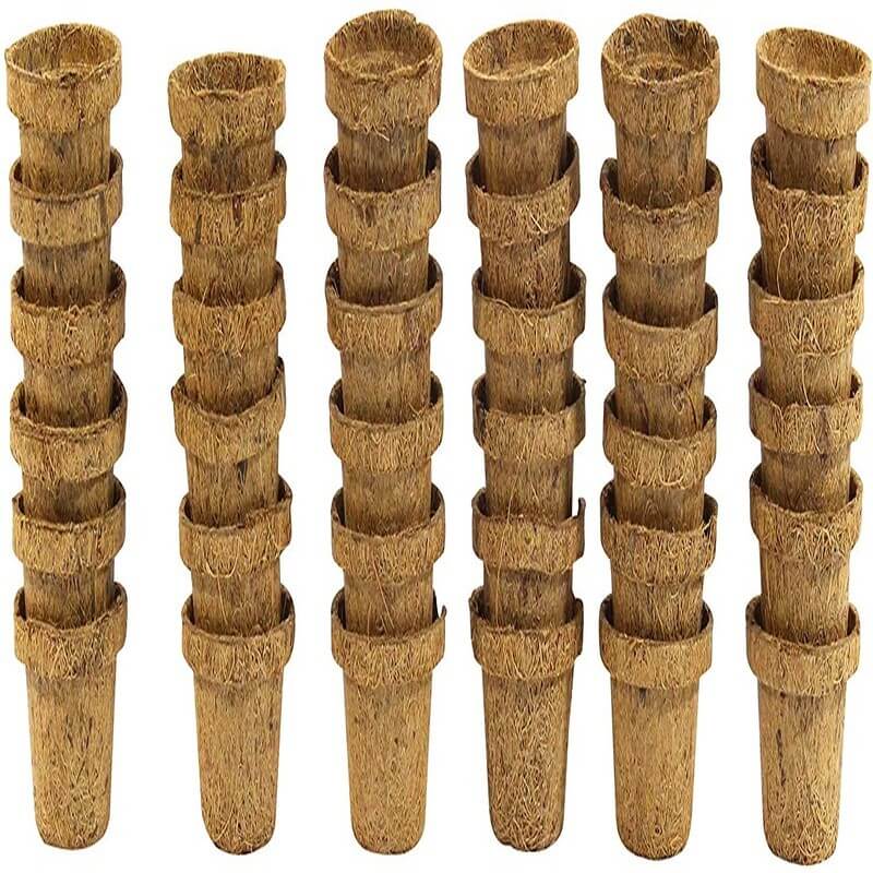 Coco Seed Starter Cup 2.5 Inch Diameter - 36 Pack