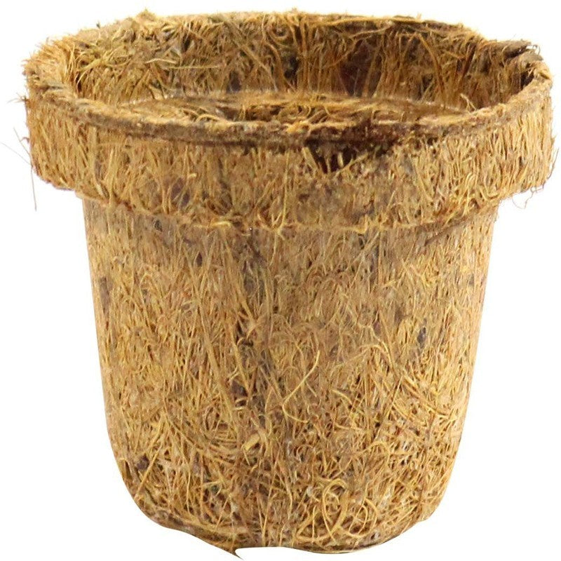 Coco Seed Starter Cup 2.5 Inch Diameter - 36 Pack