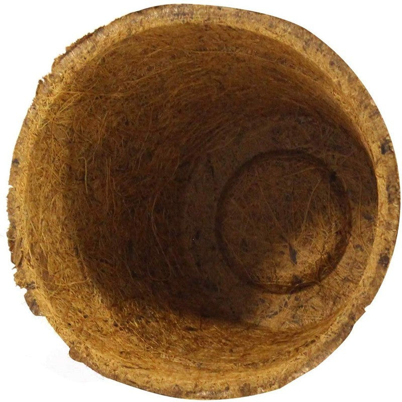 Coco Seed Starter Cup 2.5 Inch Diameter - 36 Pack