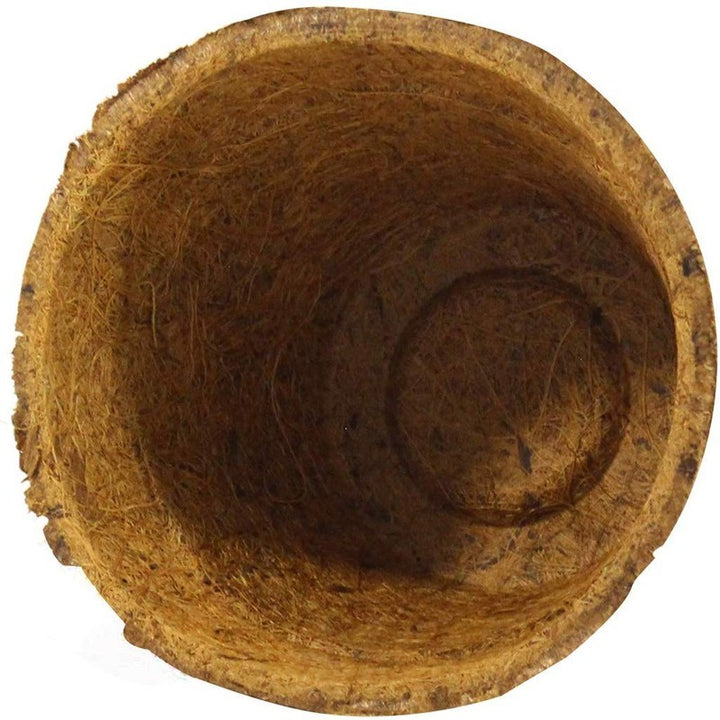 Coco Seed Starter Cup 2.5 Inch Diameter - 36 Pack