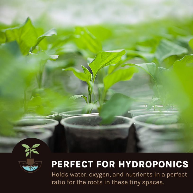 coco peat microgreens
