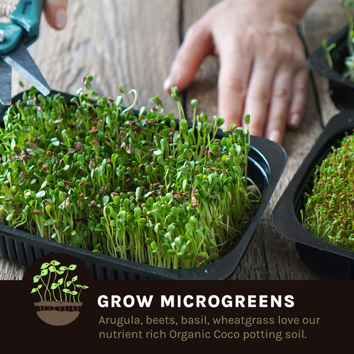 Coco Grow Discs Seed Starter Coir Pellets, 0.8" Dia. - 180 Pack