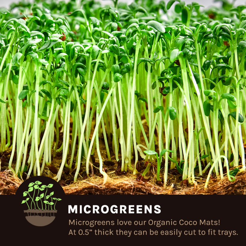 coco coir microgreen mats