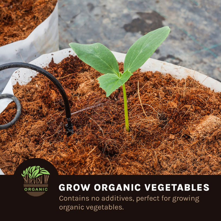 coco coir grow organic vegetables